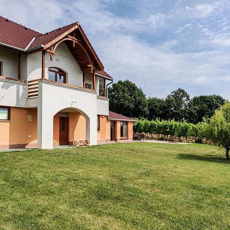 Вилла Vinox Winery Vinica Экстерьер фото