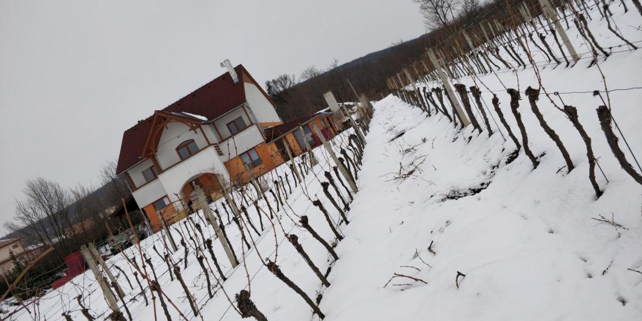 Вилла Vinox Winery Vinica Экстерьер фото