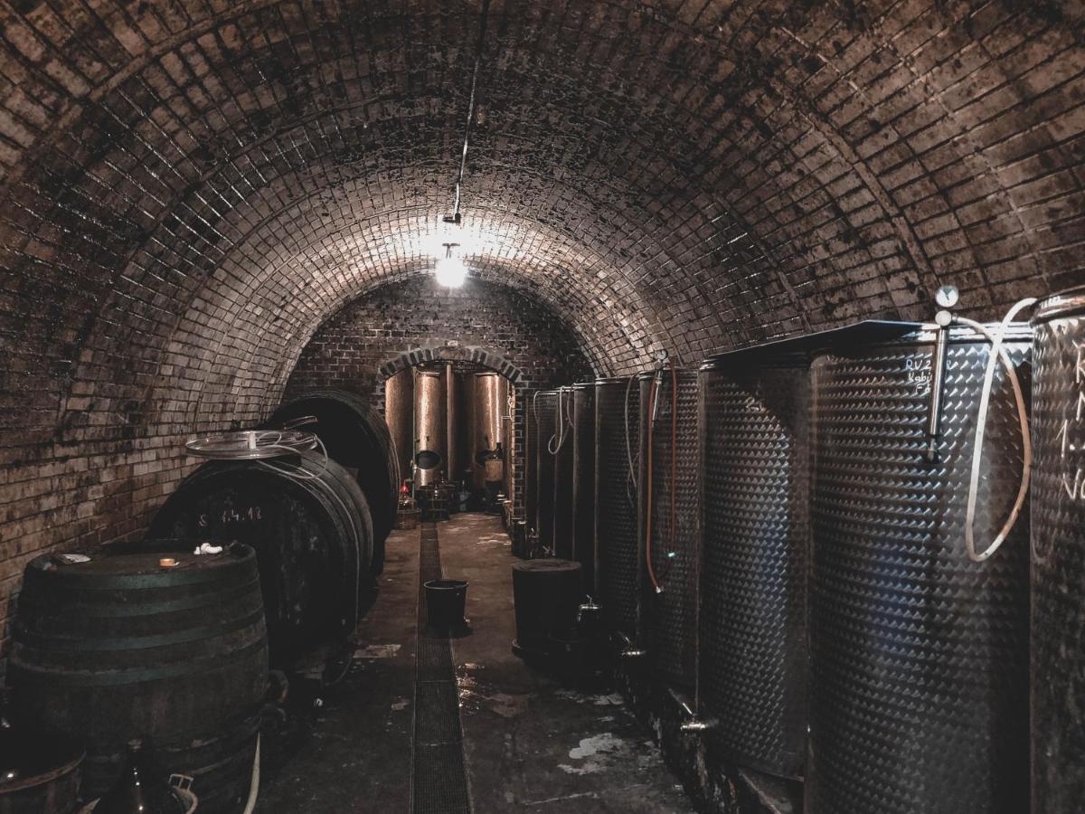 Вилла Vinox Winery Vinica Экстерьер фото