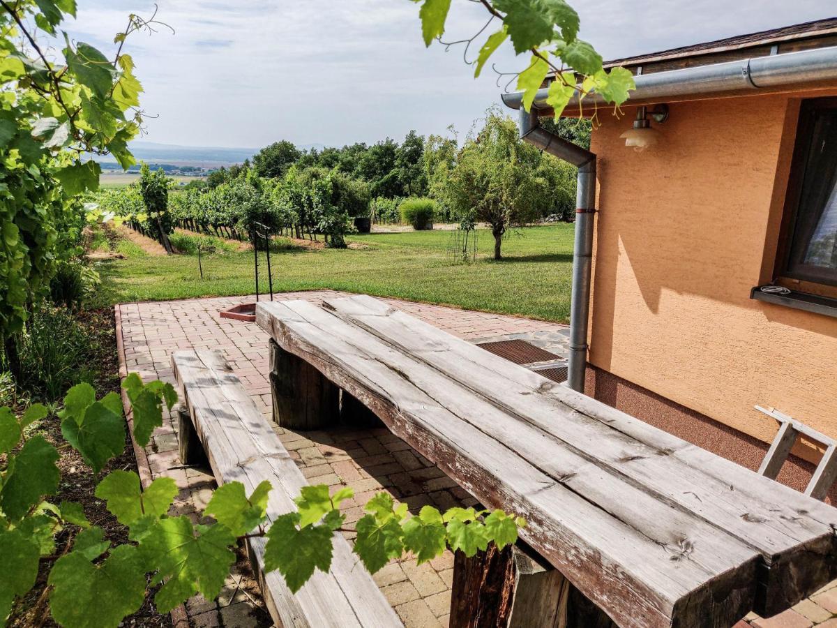 Вилла Vinox Winery Vinica Экстерьер фото