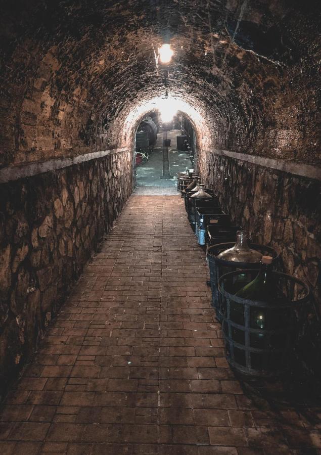 Вилла Vinox Winery Vinica Экстерьер фото