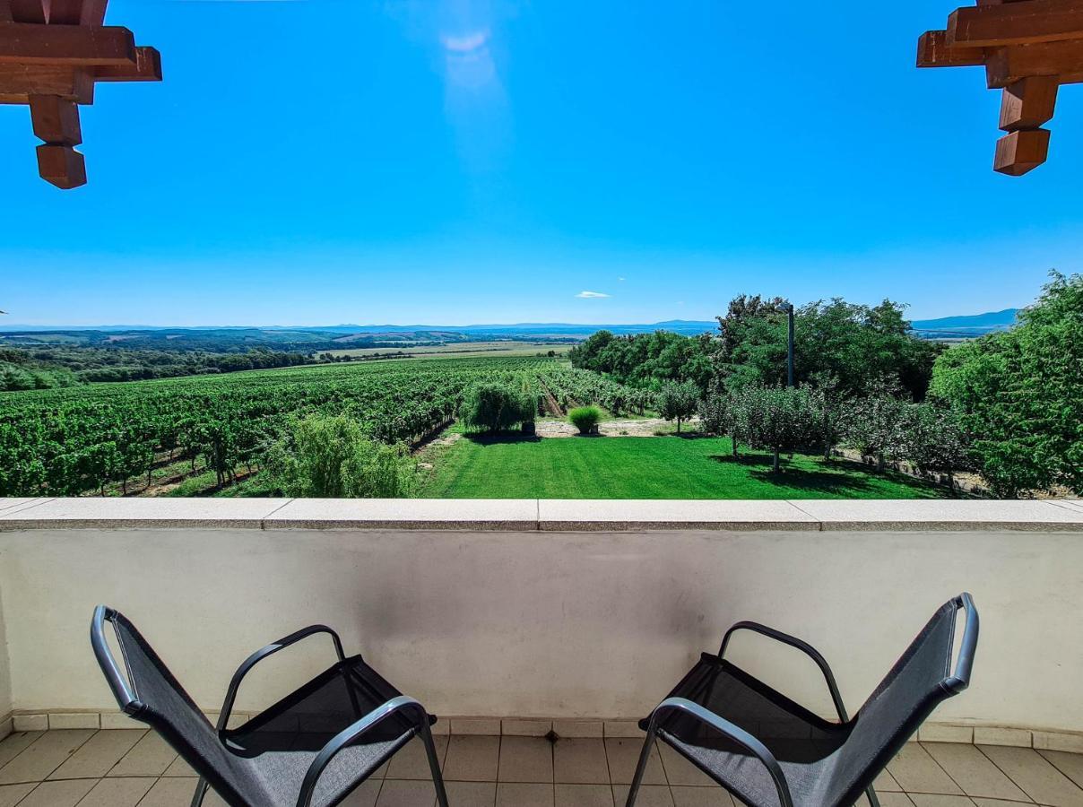 Вилла Vinox Winery Vinica Экстерьер фото